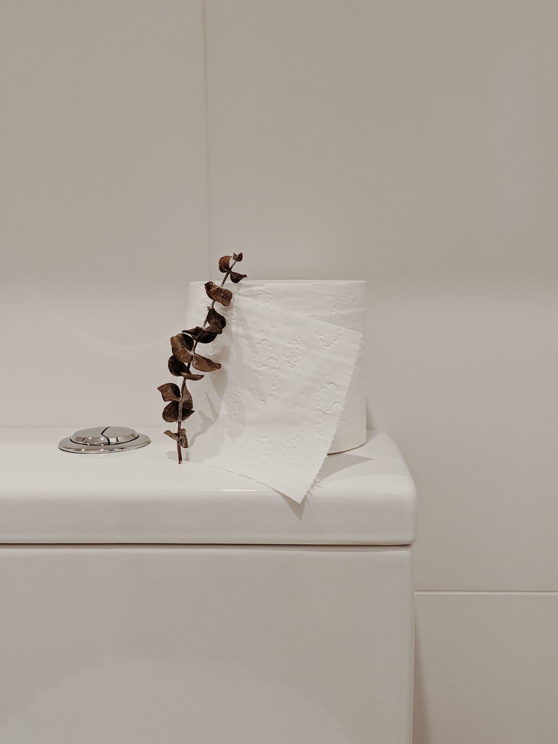 Roll of toilet paper styled with a dried botanical stem in a bathroom